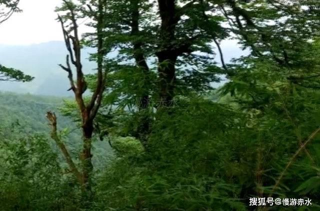 从严监督检查 筑牢廉政防线